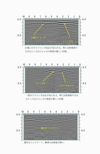 ジャンカ調査画像